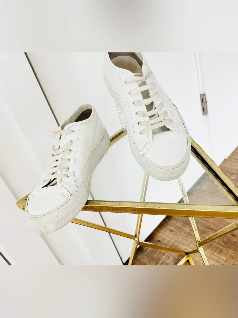 Common Projects pet free